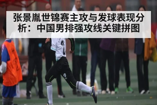 张景胤世锦赛主攻与发球表现分析：中国男排强攻线关键拼图